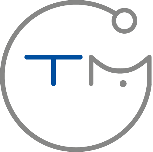 TM Systems